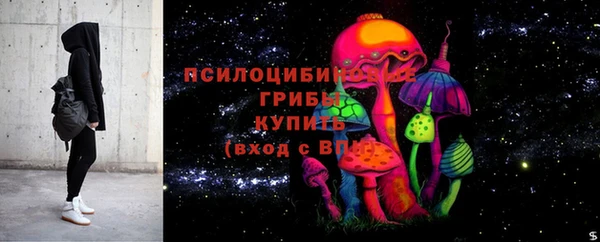 ГАЛЛЮЦИНОГЕННЫЕ ГРИБЫ Алексеевка