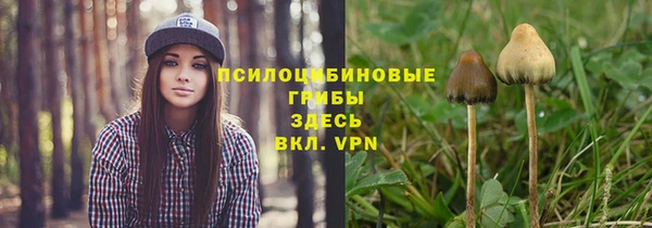 ПСИЛОЦИБИНОВЫЕ ГРИБЫ Абдулино