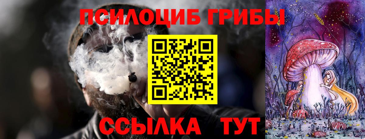 Рязань  Галлюциногенные грибы GOLDEN TEACHER  Псилоцибиновые грибы MAGIC MUSHROOMS  Вход с VPN 