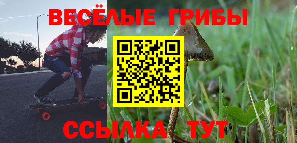 Псилоцибиновые грибы Psilocybe Рязань