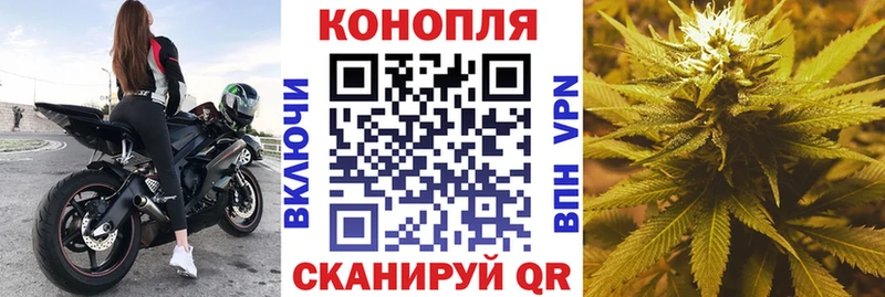 как найти наркотики  Рязань  Канабис OG Kush 